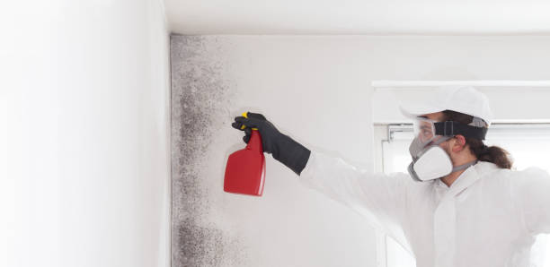 Best Mold Testing and Inspection Services in Tellico Village, TN