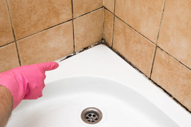 Best Residential Mold Remediation in Tellico Village, TN